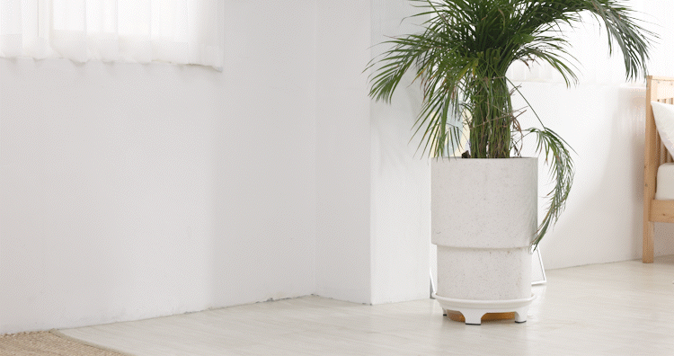 매트릭스를 보관하는 움짤.gif