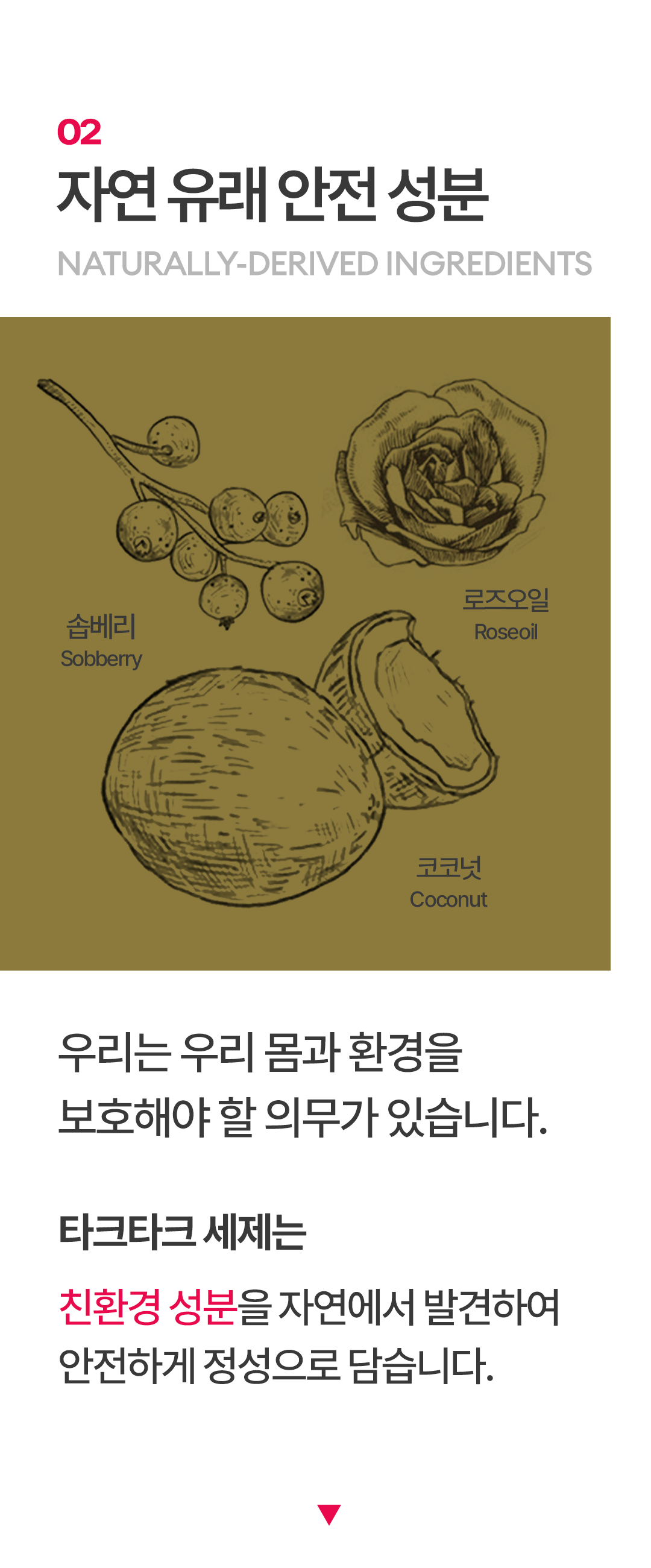 [와디즈용]1123-타크타크-상세페이지_04 복사본.png