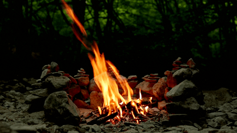 제목 없는 디자인 (11).gif