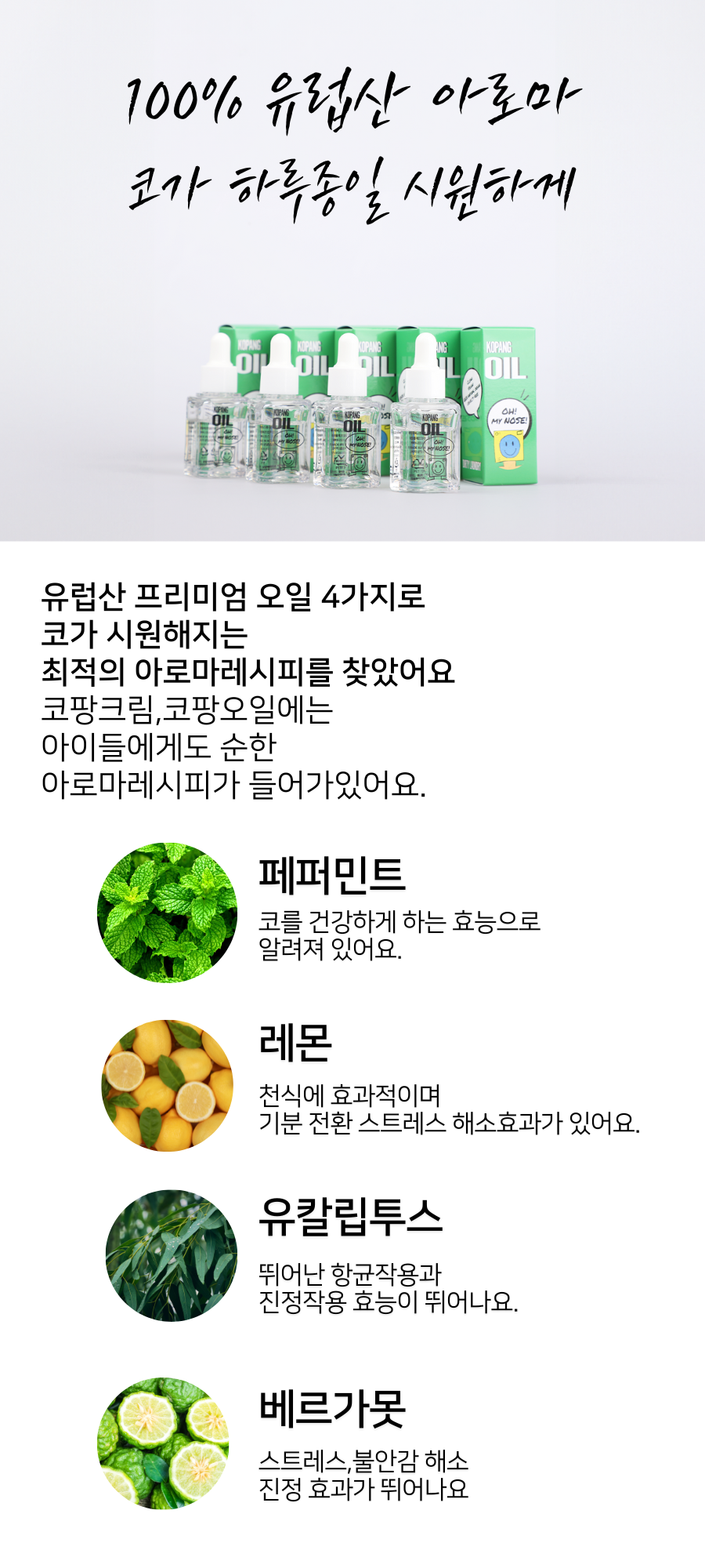 코팡키즈FIN 22.png