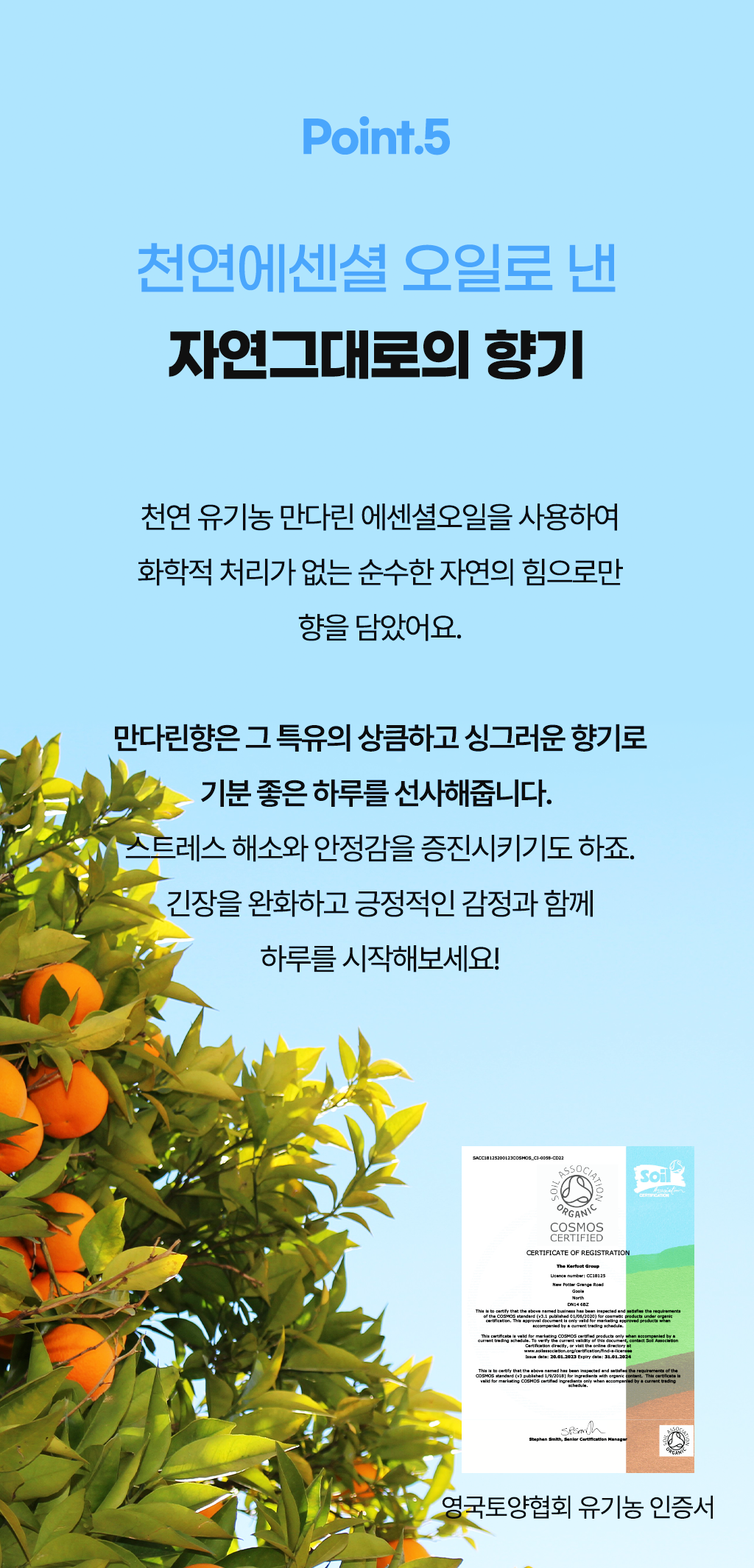 10_포인트5.png