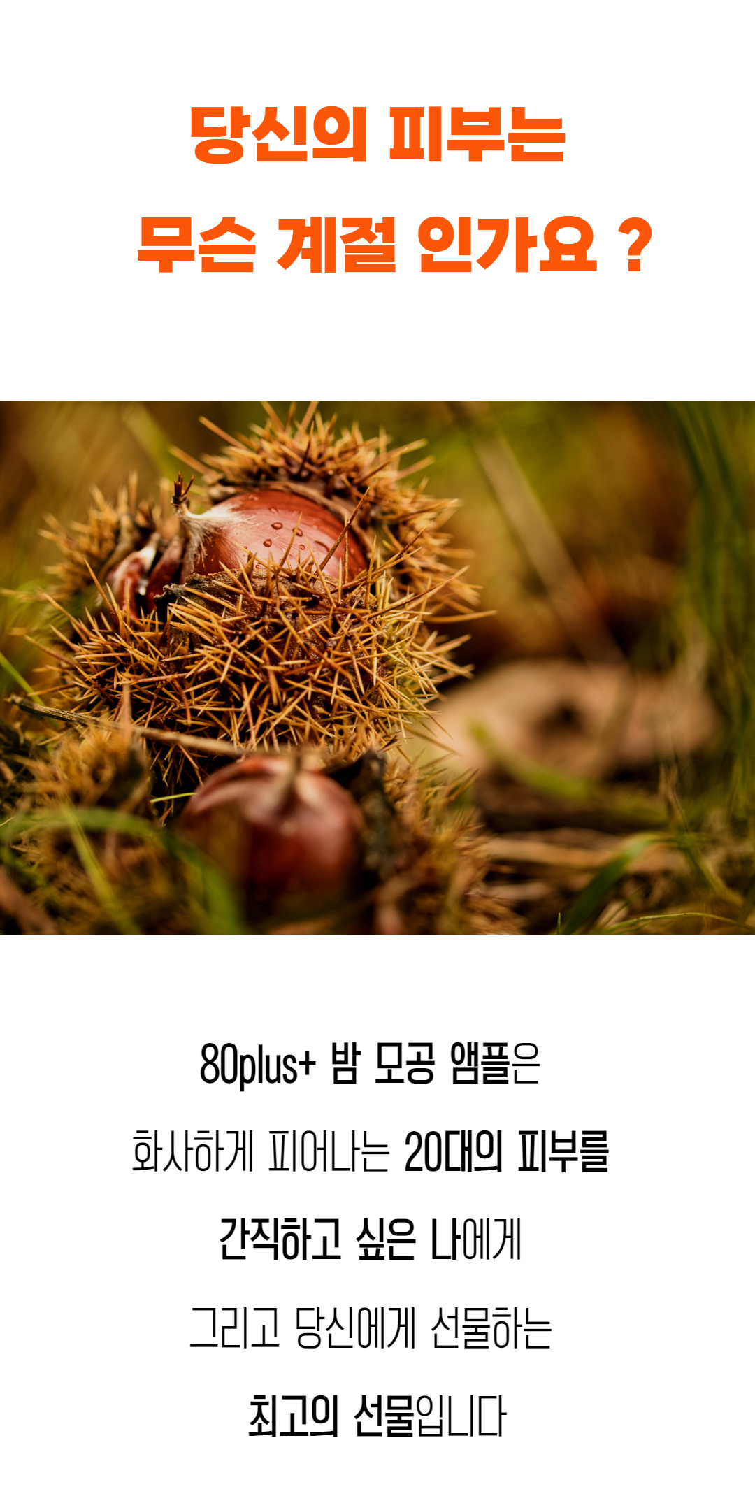 NEW_밤모공 (25).jpg