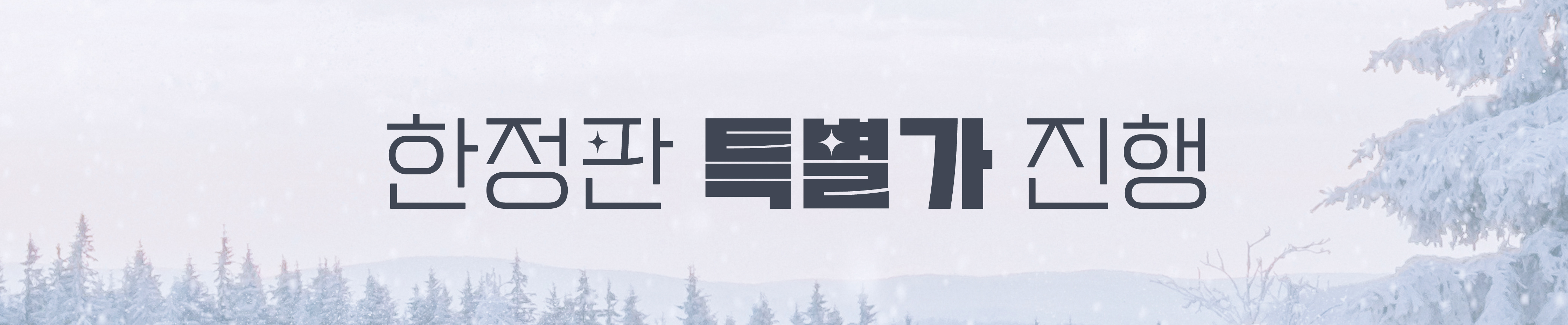 한정판 특별가.jpg