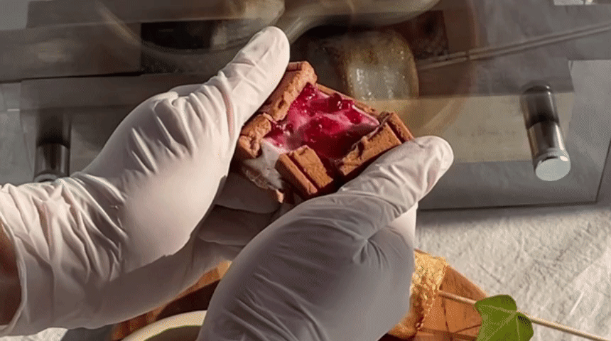 제목을-입력해주세요__복사본 (5).gif