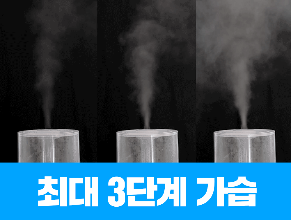 31.gif