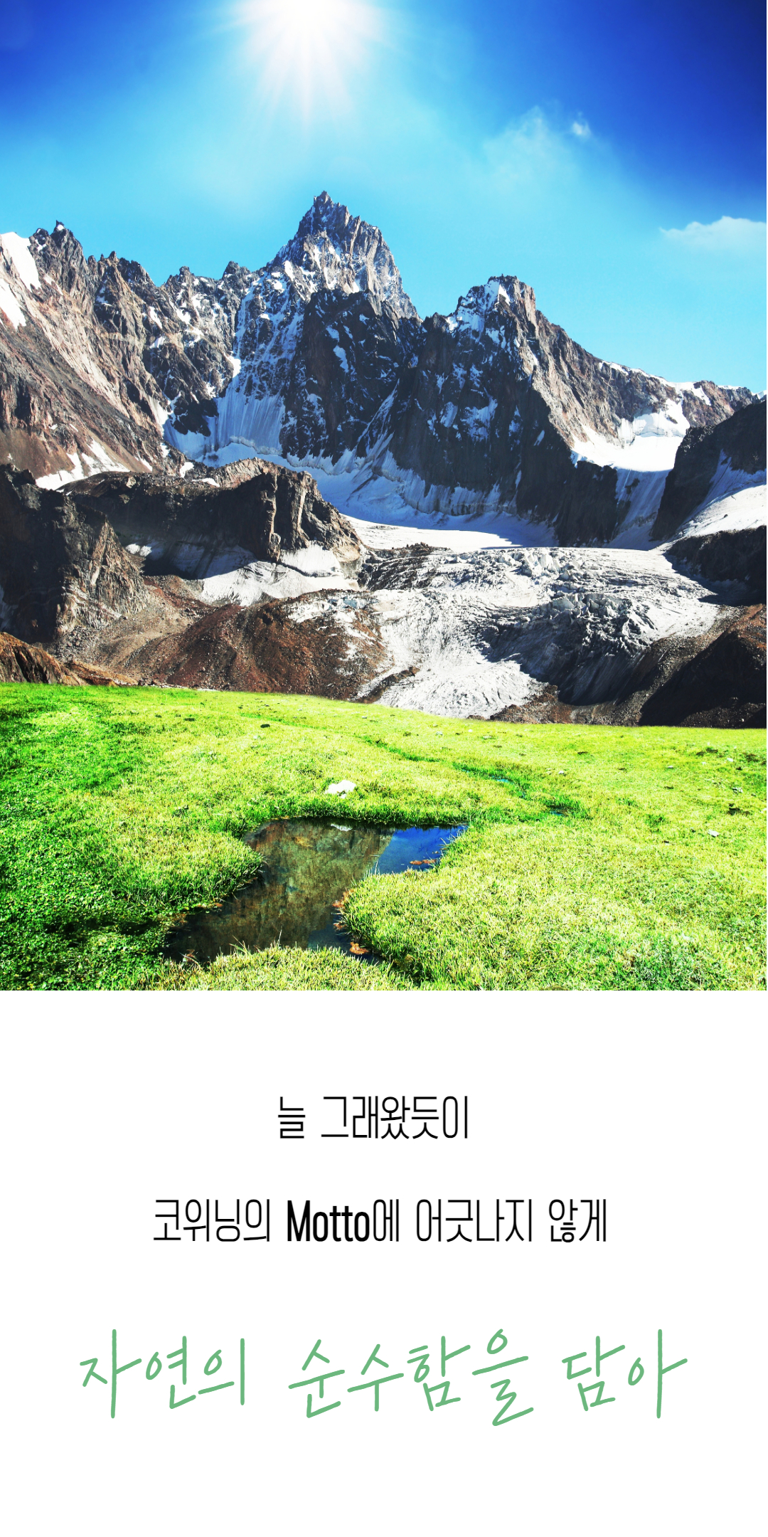 밤모공 차례 (5).jpg