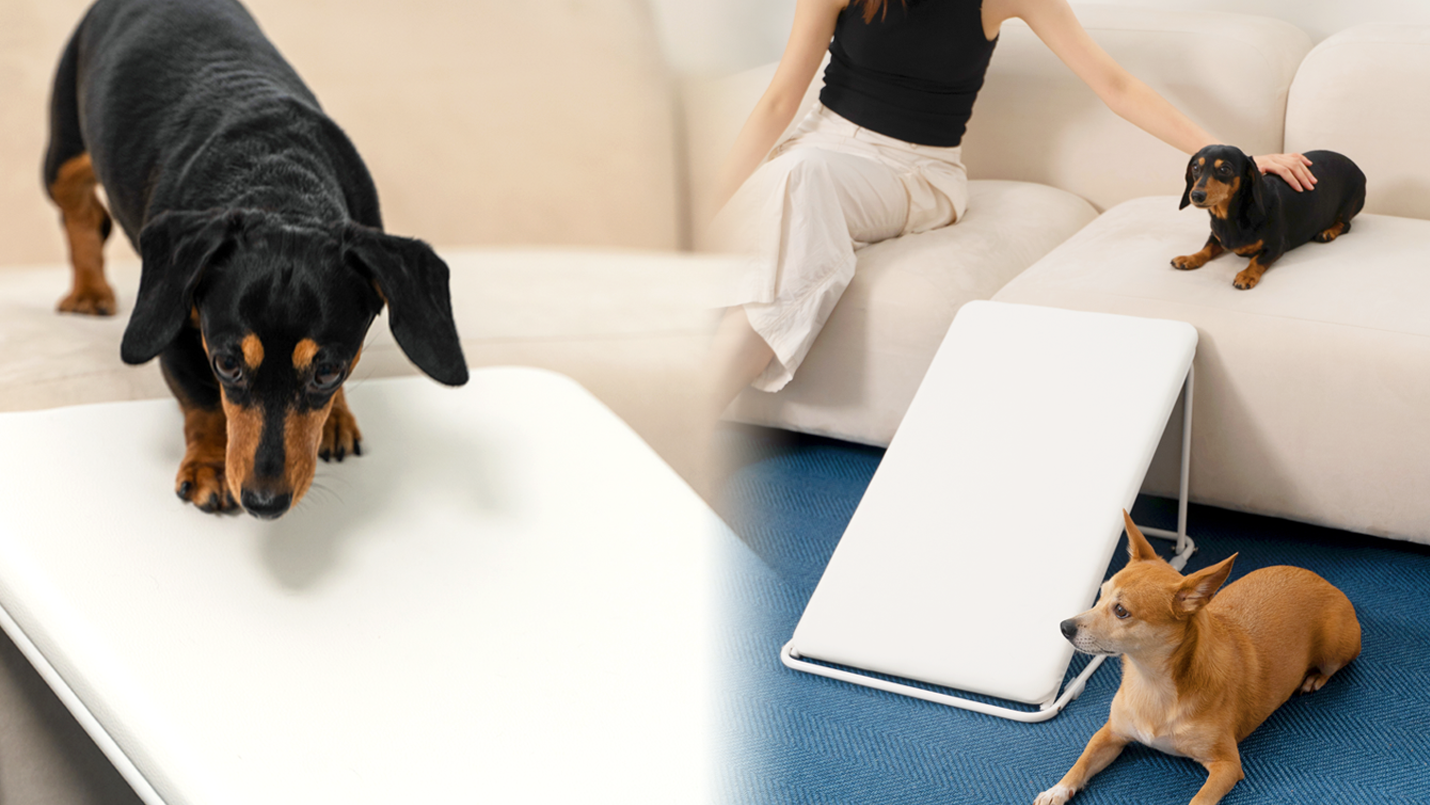 [접어서 보관해요] 발바닥 젤리가 착! 붙는 튼튼 논슬립 슬라이드 계단 