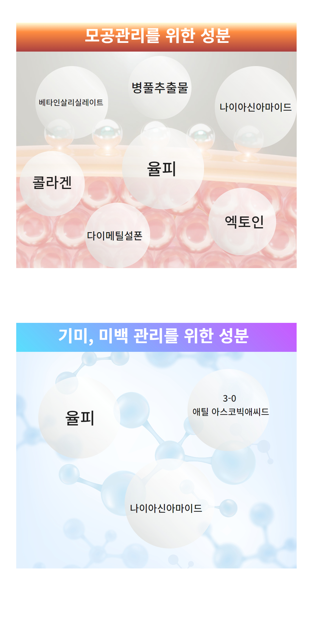 NEW_밤모공 58.jpg