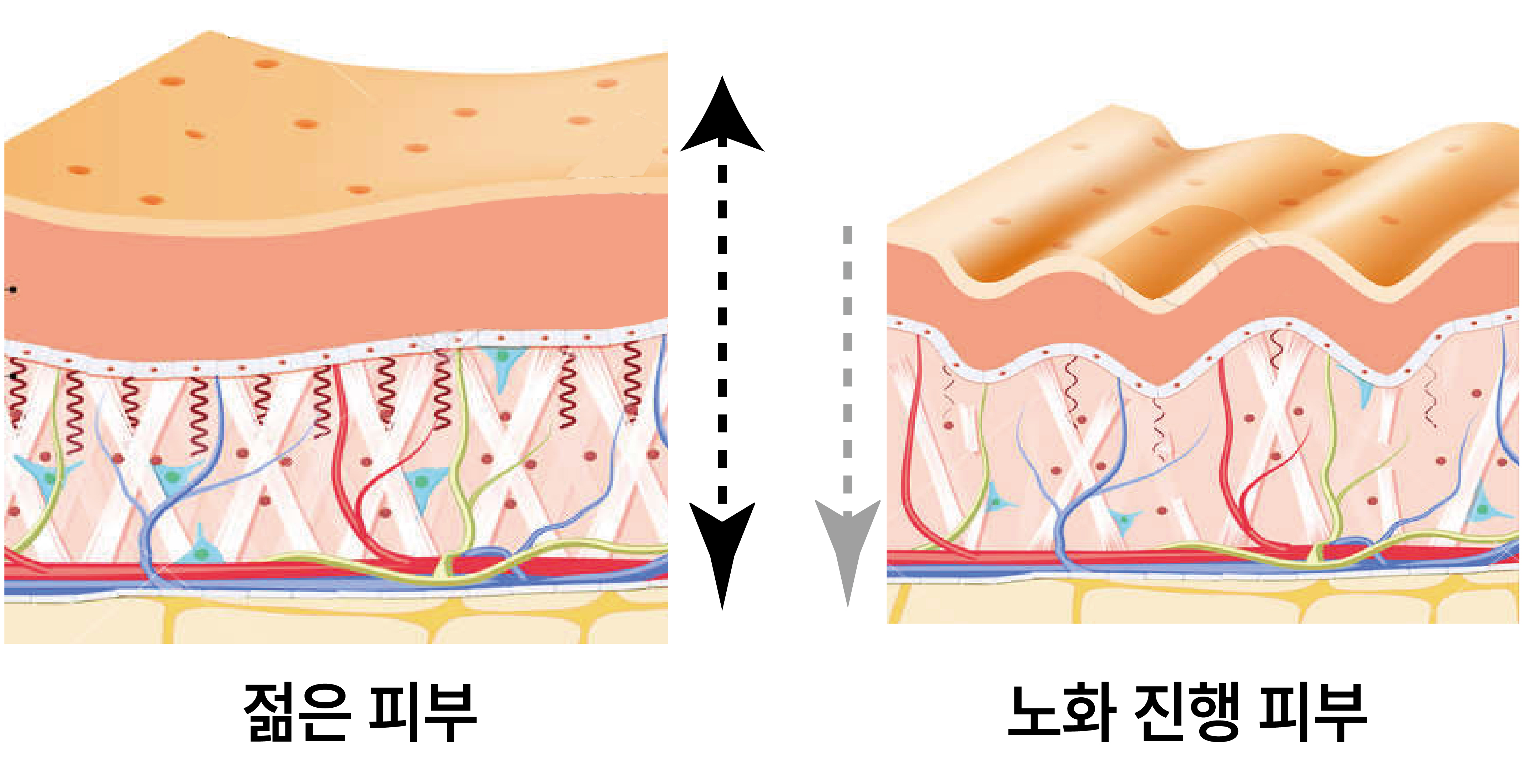 [최종]8_꿀동안 상세페이지-03.jpg