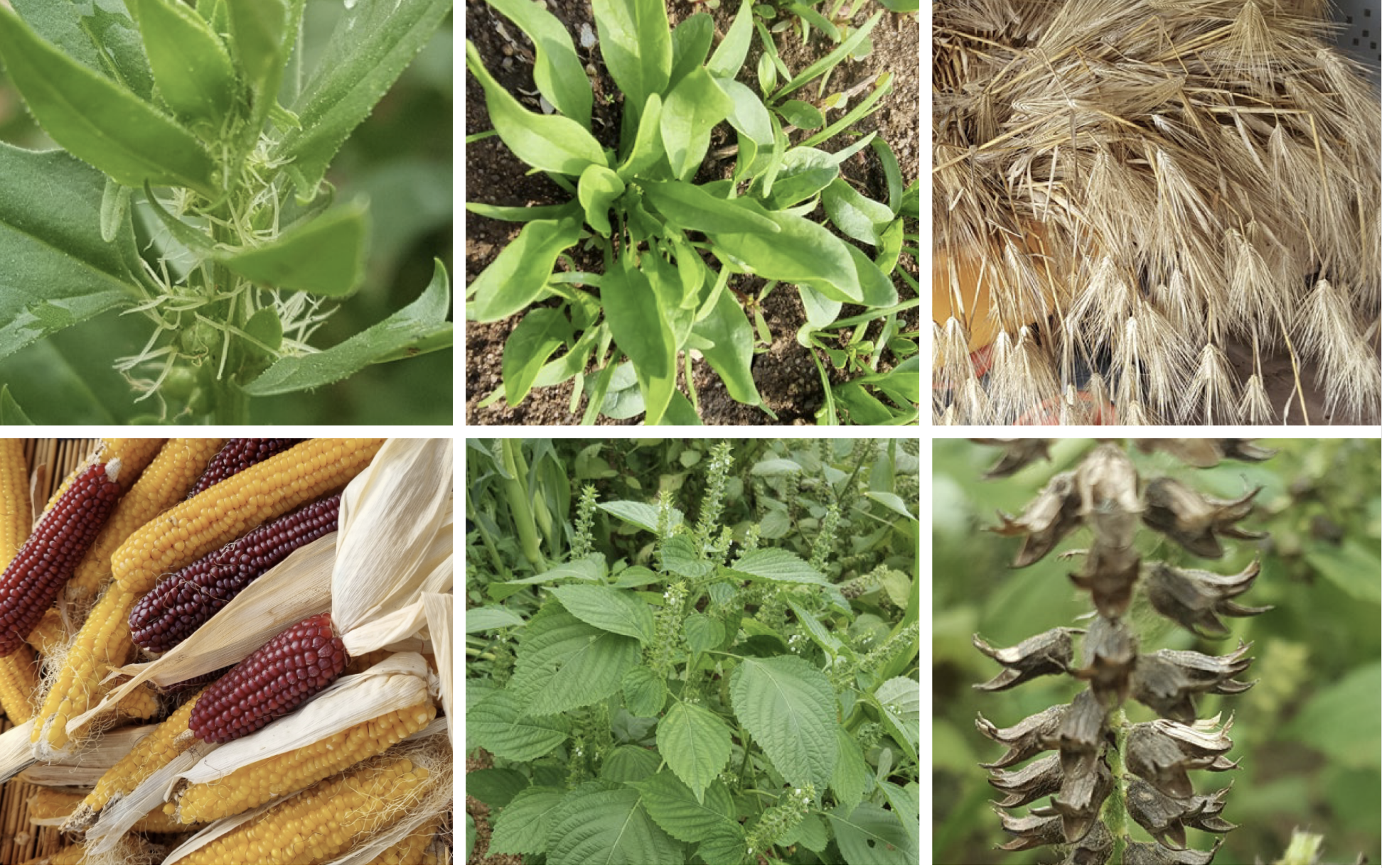 스크린샷 2023-12-06 오전 10.01.17.png