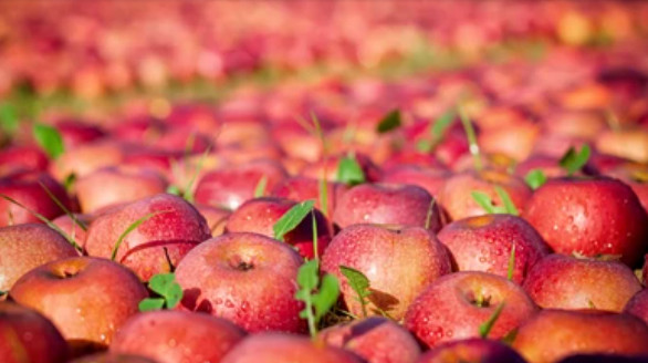 Cap 2023-10-31 14-03-23-678.jpg