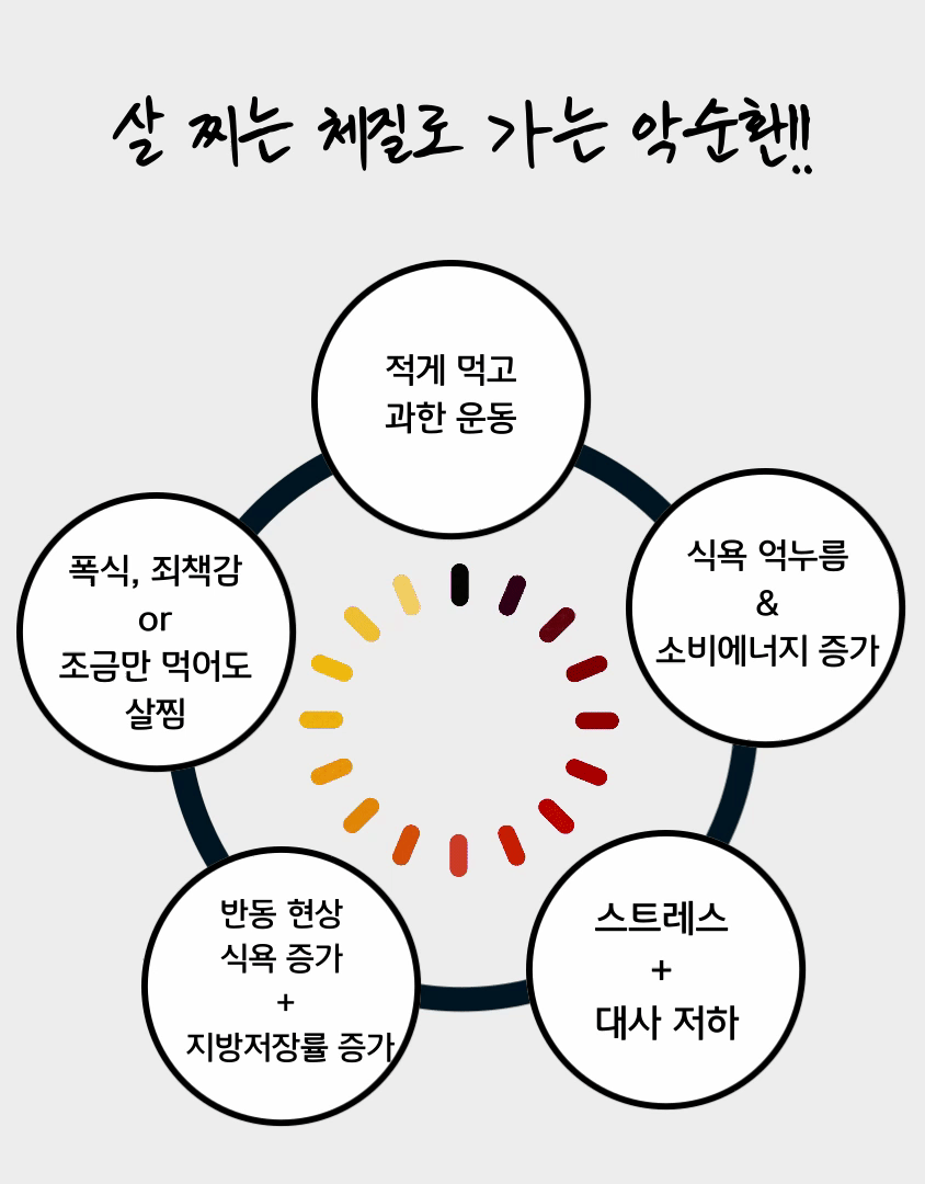 와디즈 상세페이지4_gif.gif