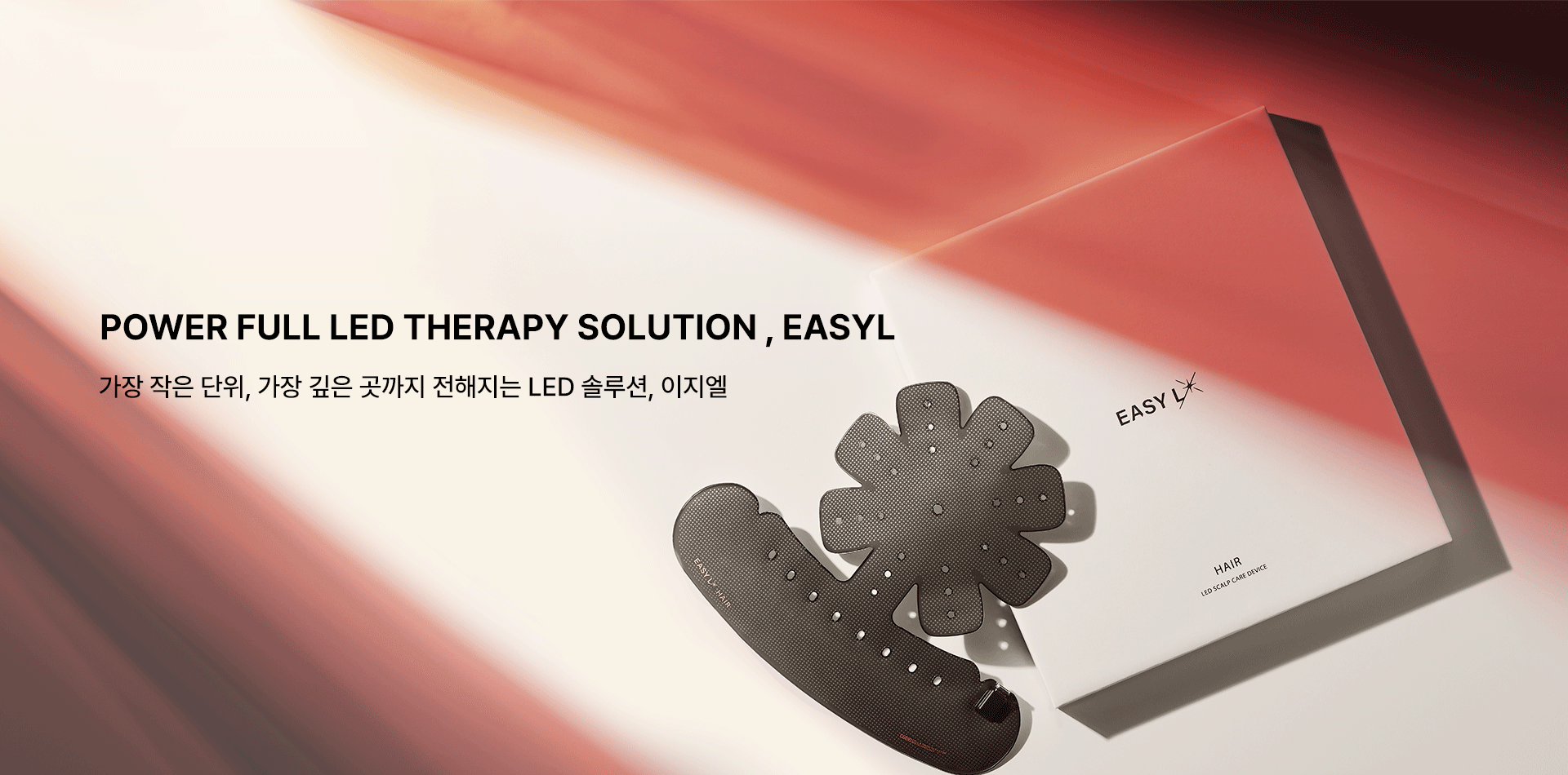 왜 WADIZ_이지엘 사진.png