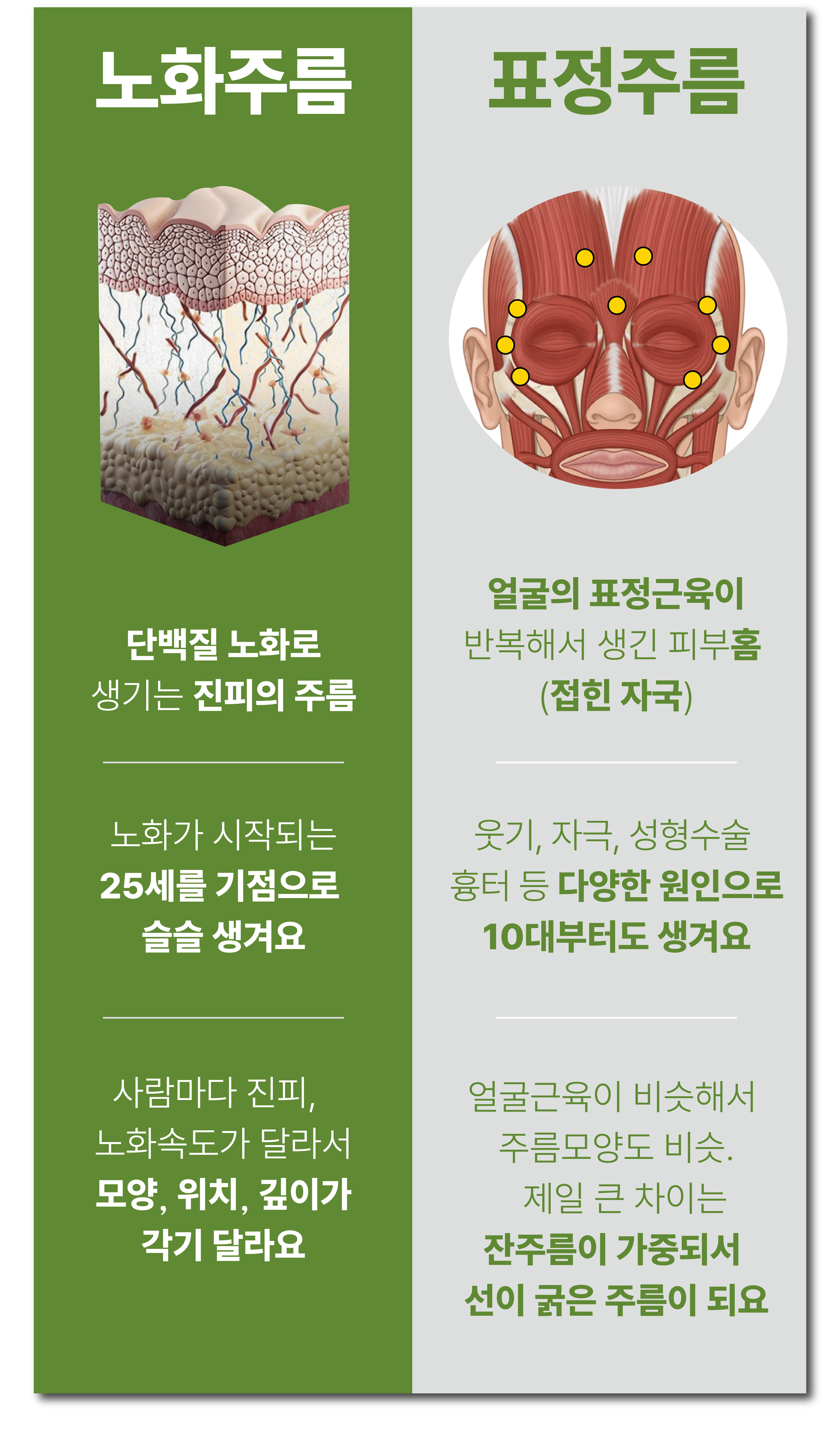 [최종]3_6차 꿀동안 상세페이지-03.jpg
