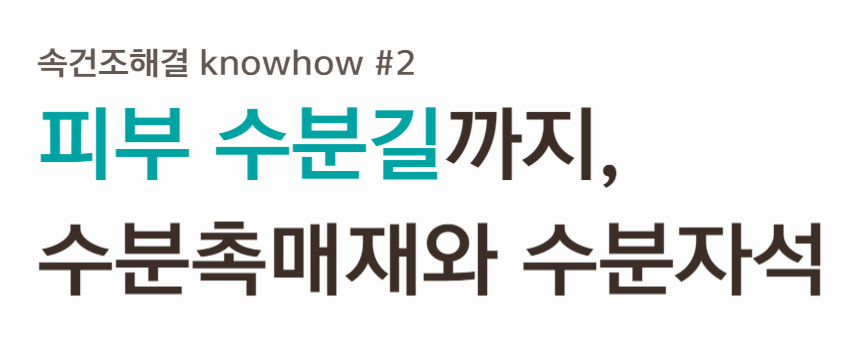 해드카피450-002 (1).png