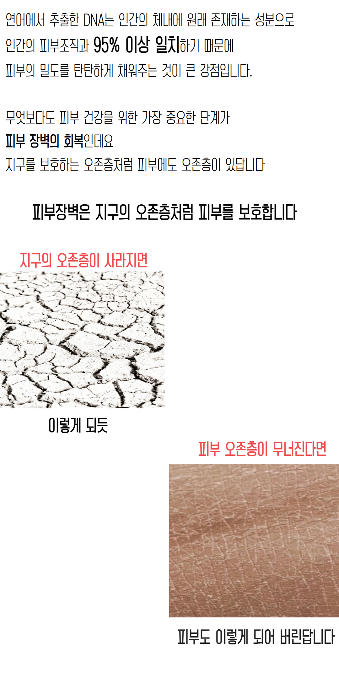 NEW_밤모공 (77).jpg
