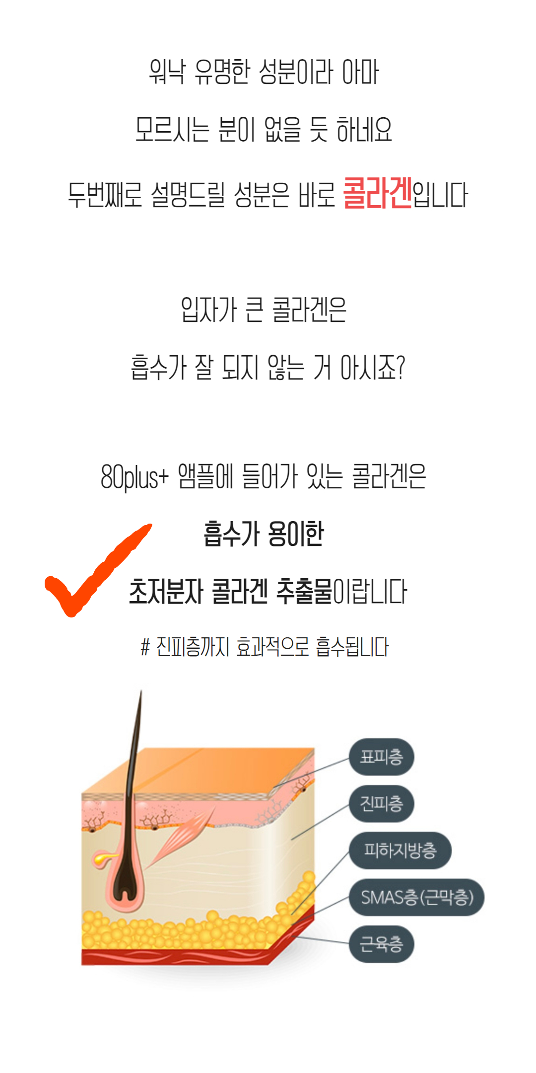 NEW_밤모공 (73).jpg