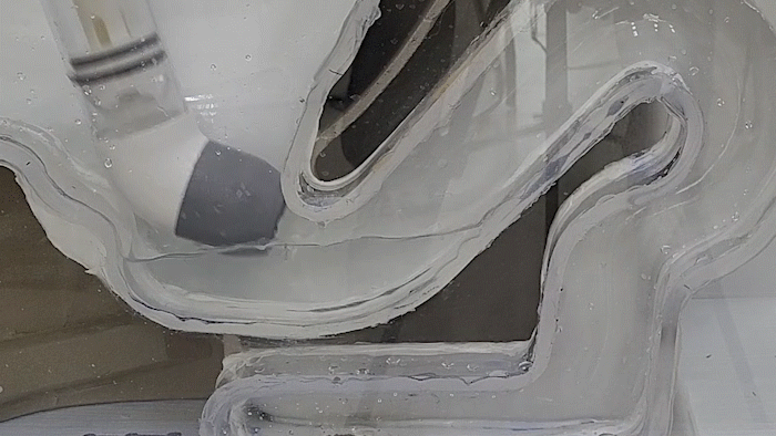 C0162_15.gif