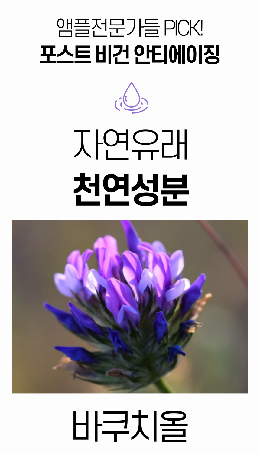025.png