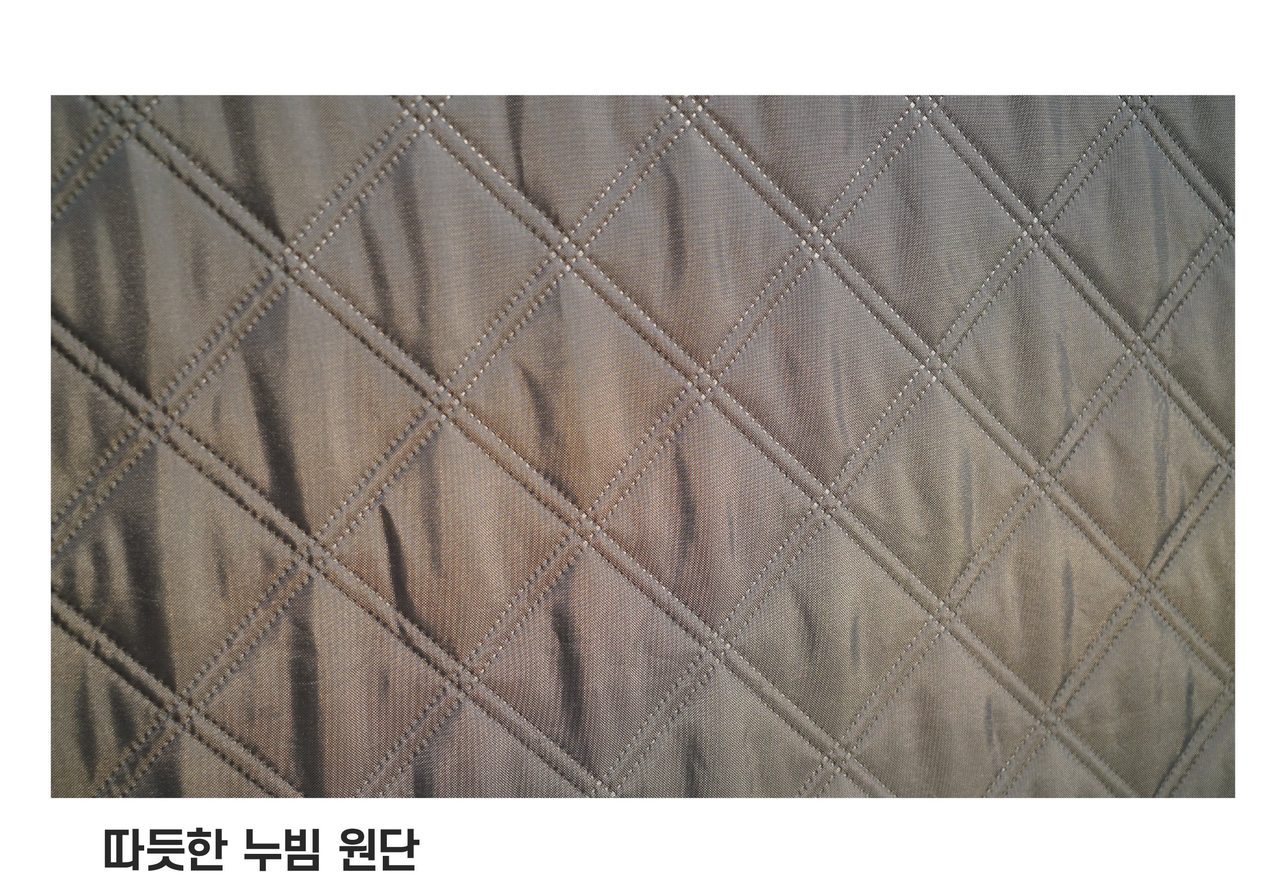 Asset 64@2x-100.jpg