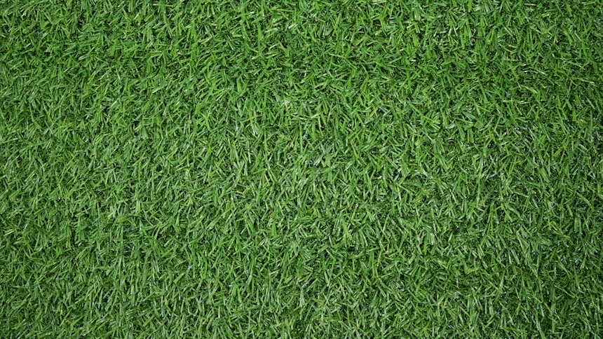 10.gif
