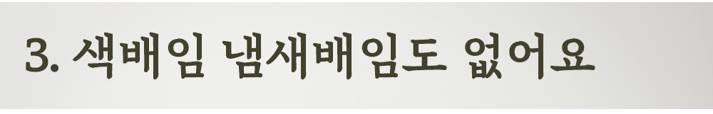 대제목_13.png