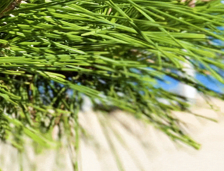 시퀀스 03-min.gif