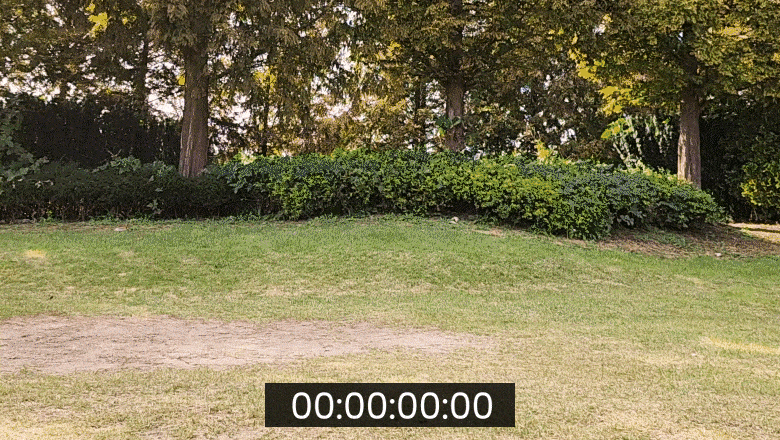 컴포지션 1-min.gif