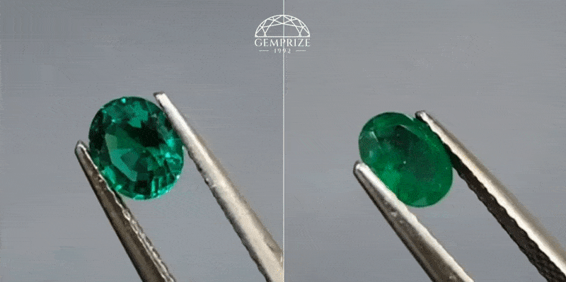 ezgif.com-optimize (1).gif