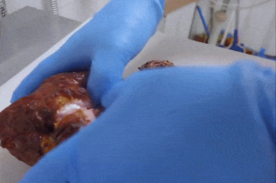 20230628105308369_75.gif