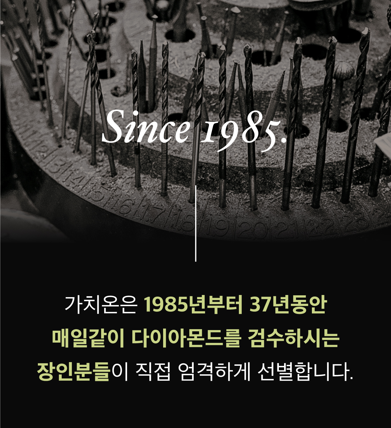115.jpg
