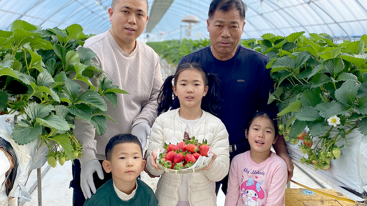 [GAP Certified] Real strawberries filled with a father’s love—fragrance you can’t fake!