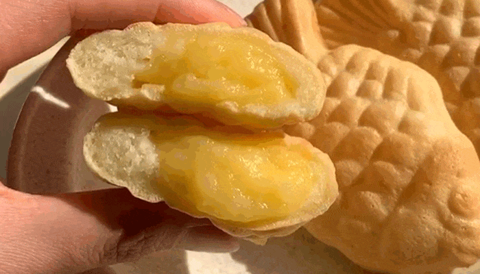 KakaoTalk_20231214_114256060.gif