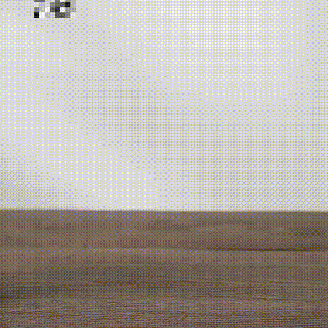 12月15日 (2)(3)[00h00m00s-00h00m02s].gif