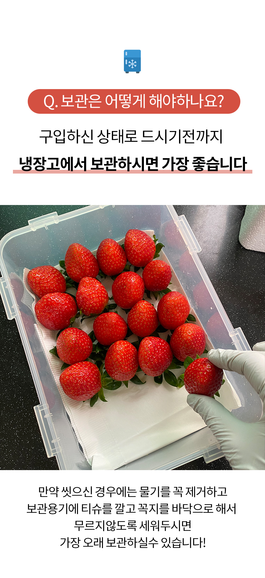 와디즈_트리플베리_상세페이지42.jpg