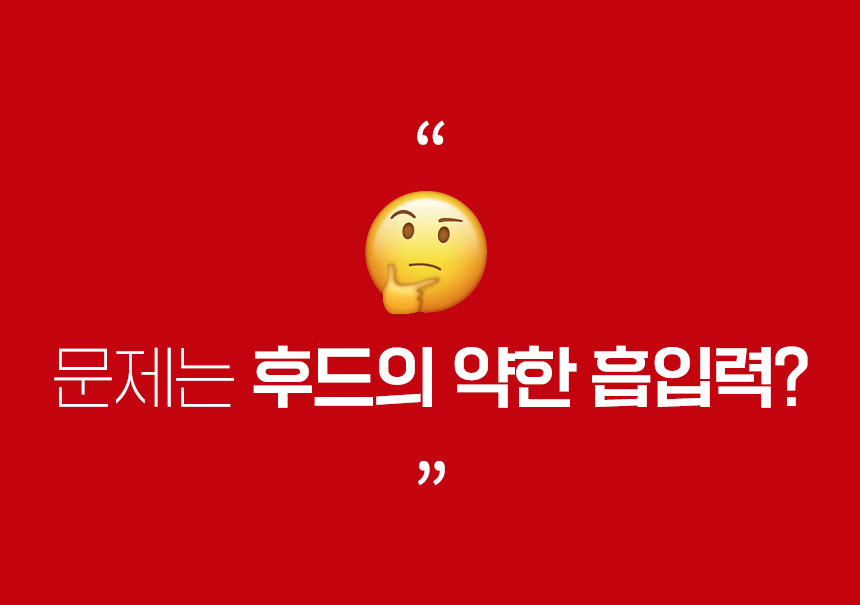 momo_1_06.jpg