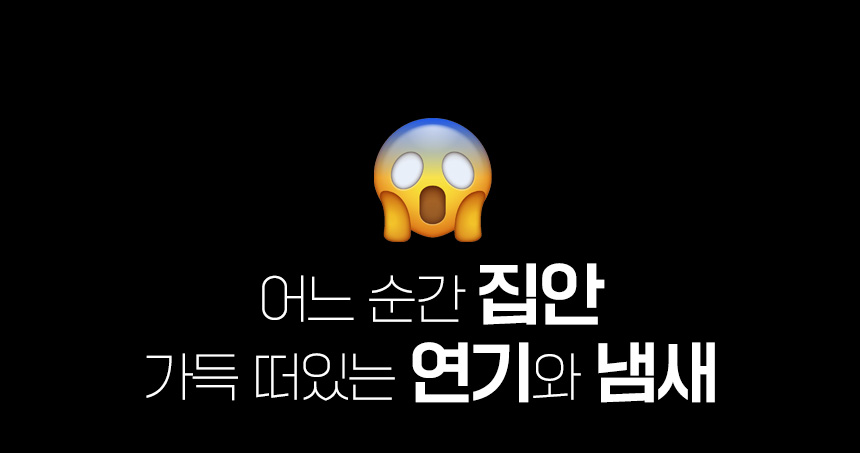 momo_1_03.jpg