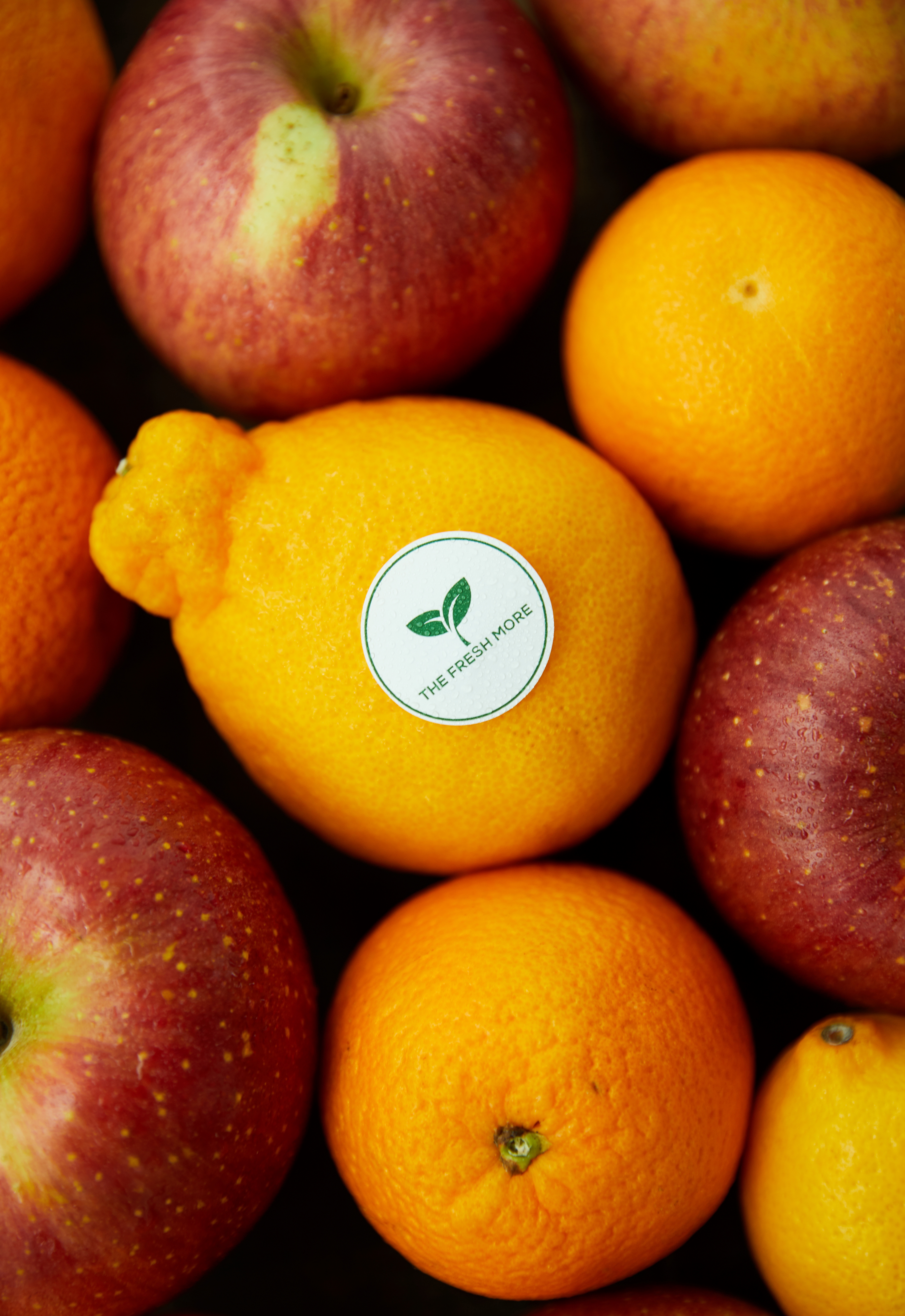 Magic Sticker to Keep Your Food Fresh The Freshmore Label