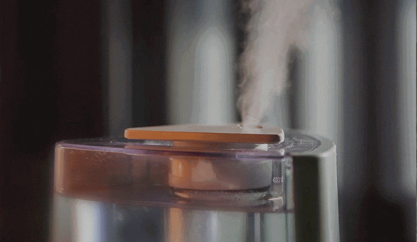 02.gif