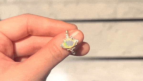 ezgif.com-optimize (14).gif