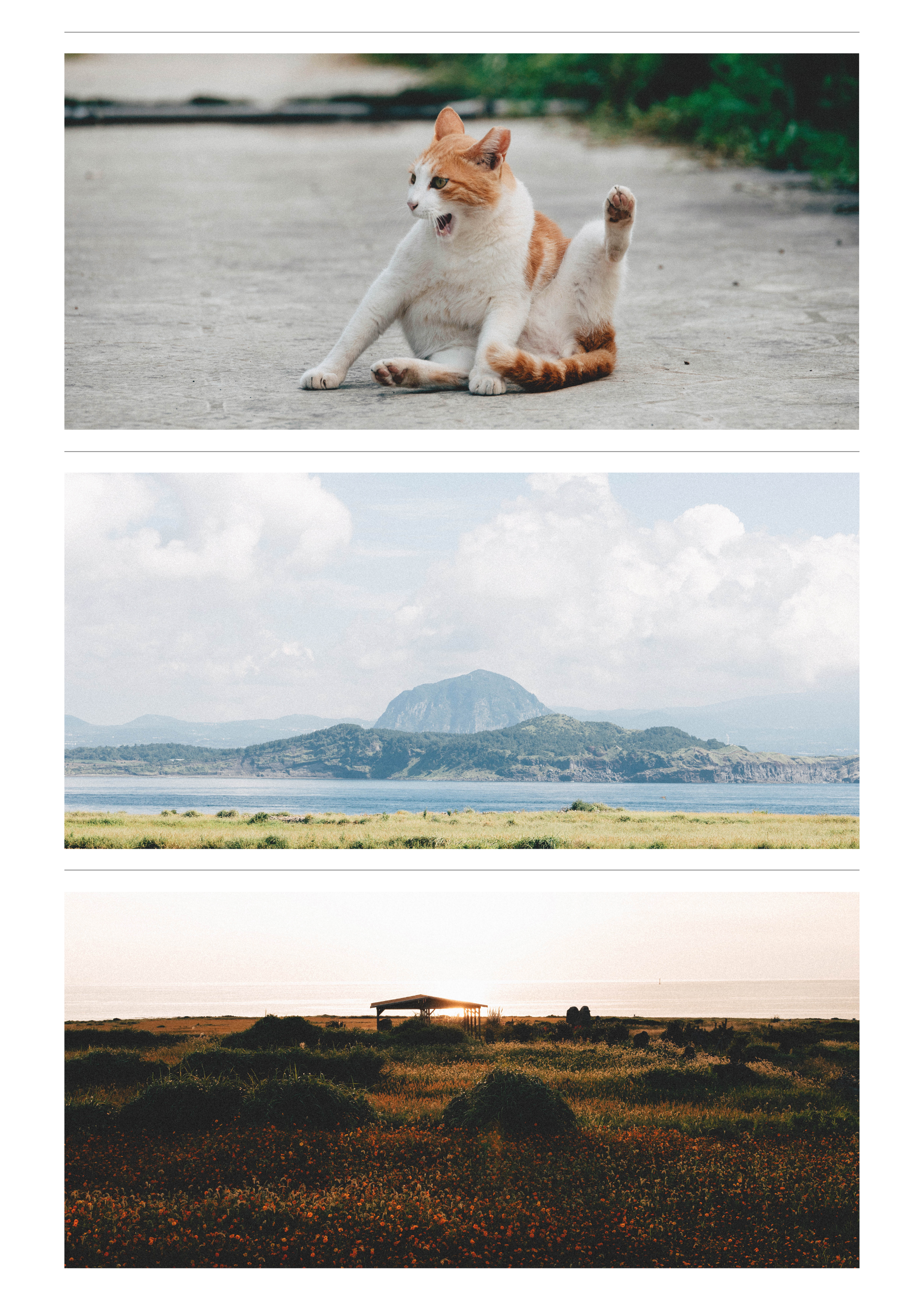 와디즈 상세페이지5.png