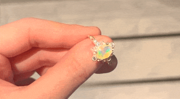 ezgif.com-optimize (13).gif