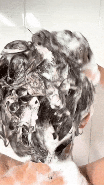 24.gif