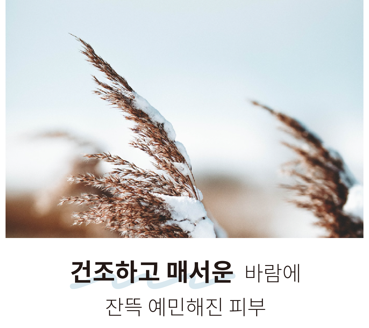 대지 42.png