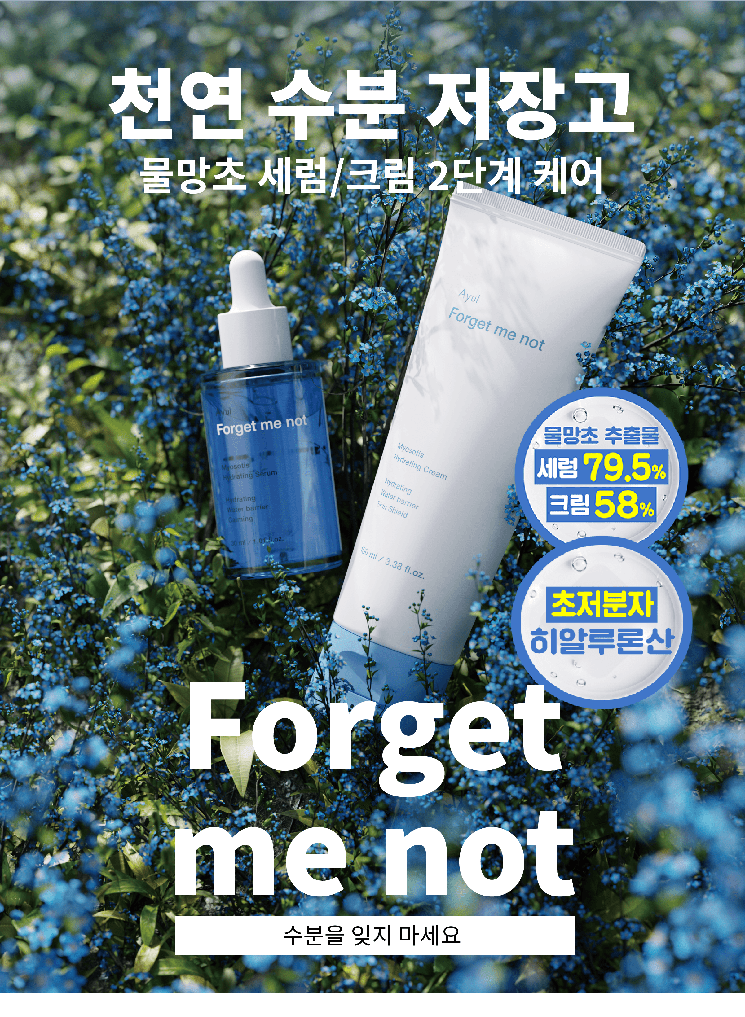 자산 22아롤렉트.png