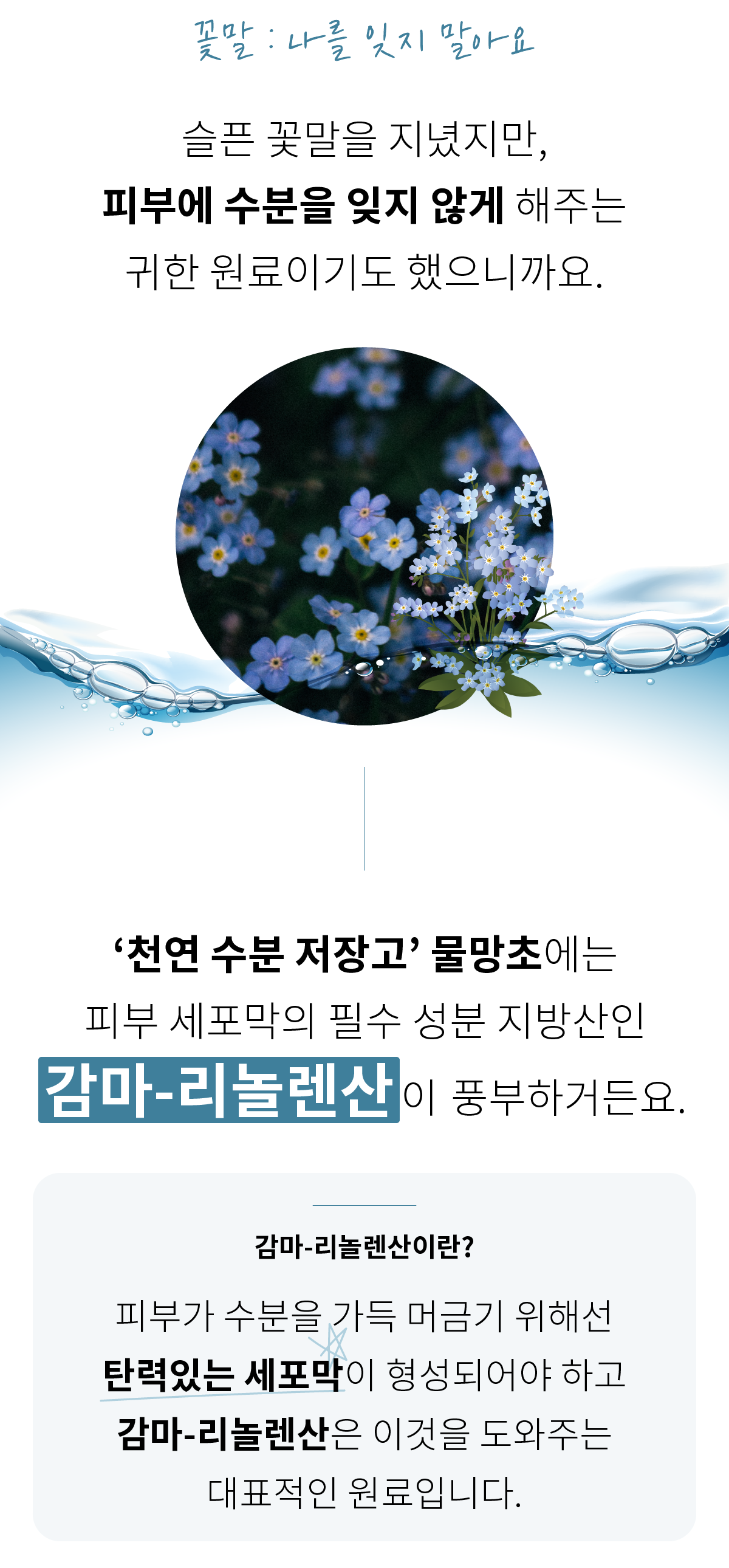 대지 115.png