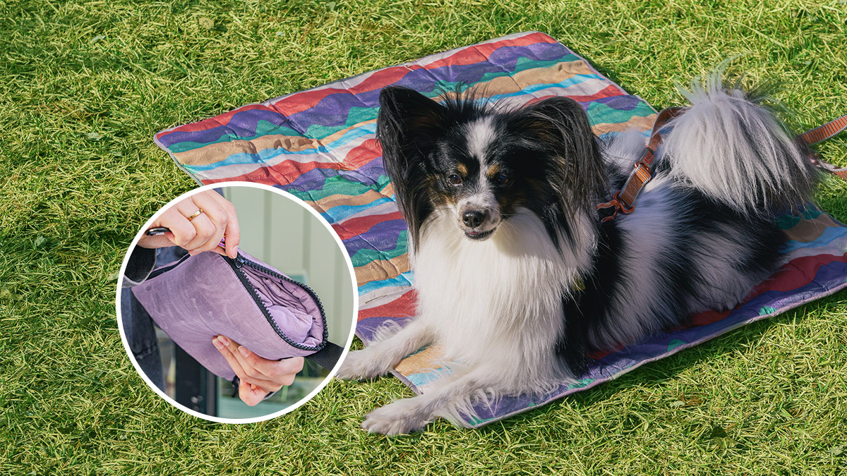 随时相伴，宠物专属便携依恋垫