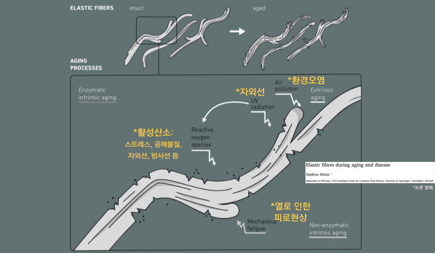 KakaoTalk_20231221_222951243.png