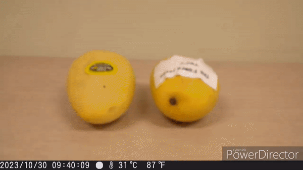 KakaoTalk_20231220_185528610.gif