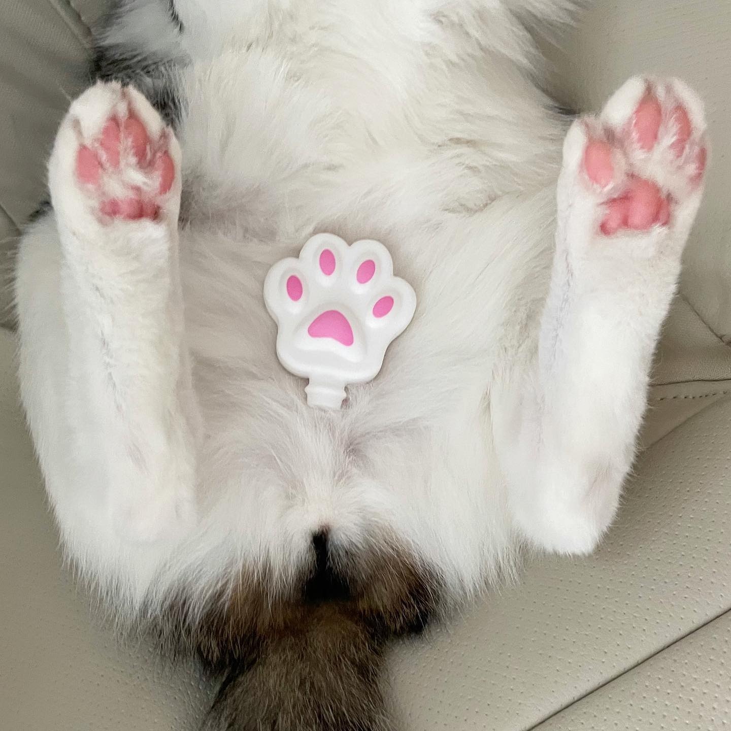 KakaoTalk_20230420_112806977_04.jpg